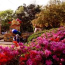 개마고원 이미지