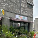 [오송 꽃집] &#39;레몬트리 플라워&#39; 화분 구매 후기 (내돈내산)