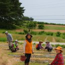 전주동산인력 네이버블로그