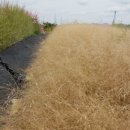 성천농장 이미지