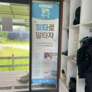 서울 근교 승마장 고양 이후국제승마클럽 승마레슨 초보 1회차🤎 (준비물, 비용, 예약방법, 평보, 경속보)