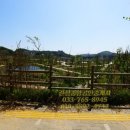 원주롯데캐슬공인중개사사무소 이미지