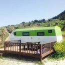 제주 야자원 이미지