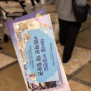 26.4.29 메이플 23주년 롯데월드 대관 후기
