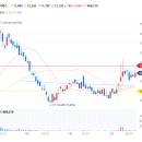 (주)고려양행 이미지