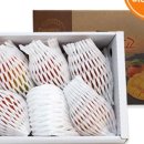 석희농장 이미지