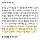 니들의 방귀냄새가 독한 이유는? 이미지