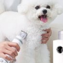 펫시즌