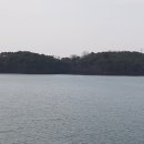 영산홍어 이미지