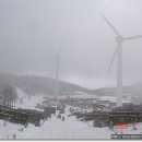 거사목장 이미지