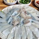 연동 화장실 | 제주연동횟집거리 삼오칠회센타 (방어회,갑오징어)