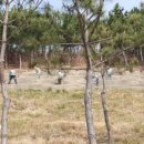 중산리 윤락 충효비 이미지