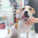 02.홍익삼거리 이미지