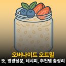 베리굿파머스 협동조합 | 오버나이트 오트밀 뜻 효능 영양성분 칼로리 보관용기 단백질 추천