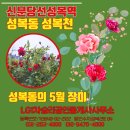 단지상가빌리지공인중개사사무소 이미지