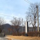 까미노데플로레스타1 이미지