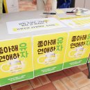 푸들리 이미지