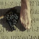 용산-현장-1969 | 🎥 더 폴: 디렉터스 컷 × 석류의 빛깔 — 이야기꾼 타셈의 삼일야화 타셈 감독 앵콜 내한 GV