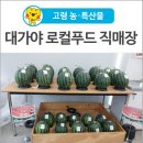 생생팜 대가야로컬푸드 직매장 네이버블로그