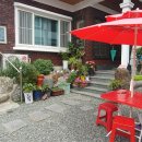 정철동물병원 이미지