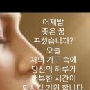 지운 이미지