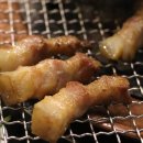 제주도야지 이미지