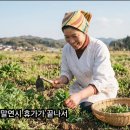 이건 ‘봄나물죽’이야 ! [これは「七草がゆ」だよ。] 이미지