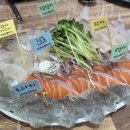 오늘도매횟집 - 양산시 화합6길 18 | 김해외동맛집 김해횟집 추천, 웨이팅 필수 형제도매횟집 김해본점 후기