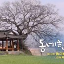 임실한우 이미지