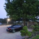 인삼송어장 이미지