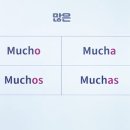 깔로르 이미지