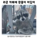 멍디브 이미지