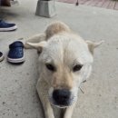 금복 펜션 이미지