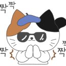 세기약국 이미지