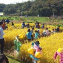 안산시농업기술센터 이미지