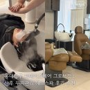 Grove Hair(그로브헤어) | 홍대입구 미용실 더데이즈헤어 그로브점 : 산후 두피관리 헤드스파 후기 추천
