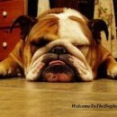 푸짐한 생아구 이미지