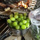 춘장대오토캠핑장 이미지