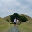 궁한옥민박 | 경주 첨성대, 동궁과 월지, 대릉원 도보 여행 / 주차, 개방시간