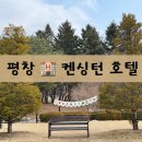 동물의 정원 | 켄싱턴호텔 평창 | 이국적인 정원 산책과 동물 먹이주기 체험 후기