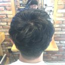 더안(The ann)
