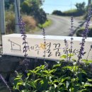 제주별꿈펜션 민박 이미지