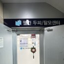 케어마스터 | 천안탈모케어 고민된다면 웰킨두피센터 신부점 두피마스터케어 후기