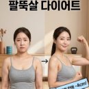 실전마루타