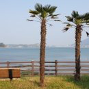 용남게이트볼장 이미지