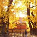 오륜상사 이미지