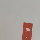 꾸꾸플라워