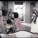 노씨네