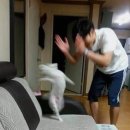 전주진국밥경주