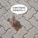 요즘 블챌만 쓰고있는 저예요..